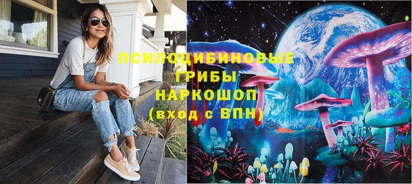 ГАЛЛЮЦИНОГЕННЫЕ ГРИБЫ Карталы