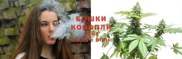 ГАЛЛЮЦИНОГЕННЫЕ ГРИБЫ Карталы
