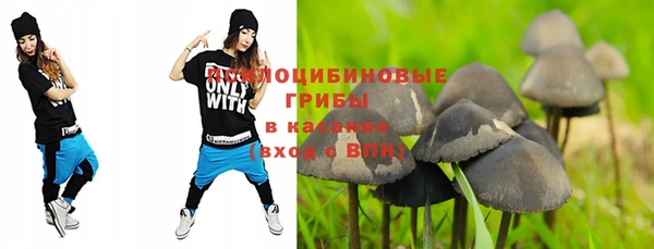 первитин Карпинск