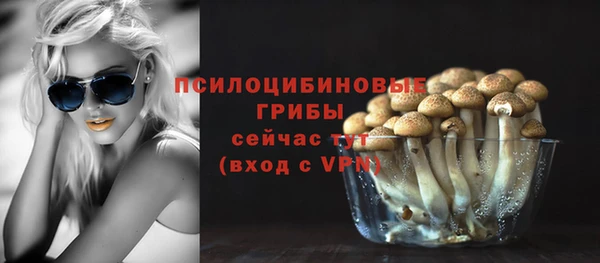 прущая мука Касимов