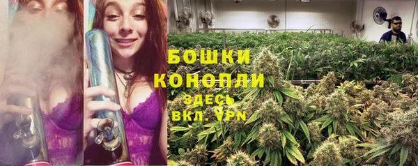 первитин Карпинск