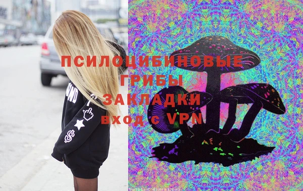 ГАЛЛЮЦИНОГЕННЫЕ ГРИБЫ Карталы