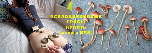 ГАЛЛЮЦИНОГЕННЫЕ ГРИБЫ Карталы